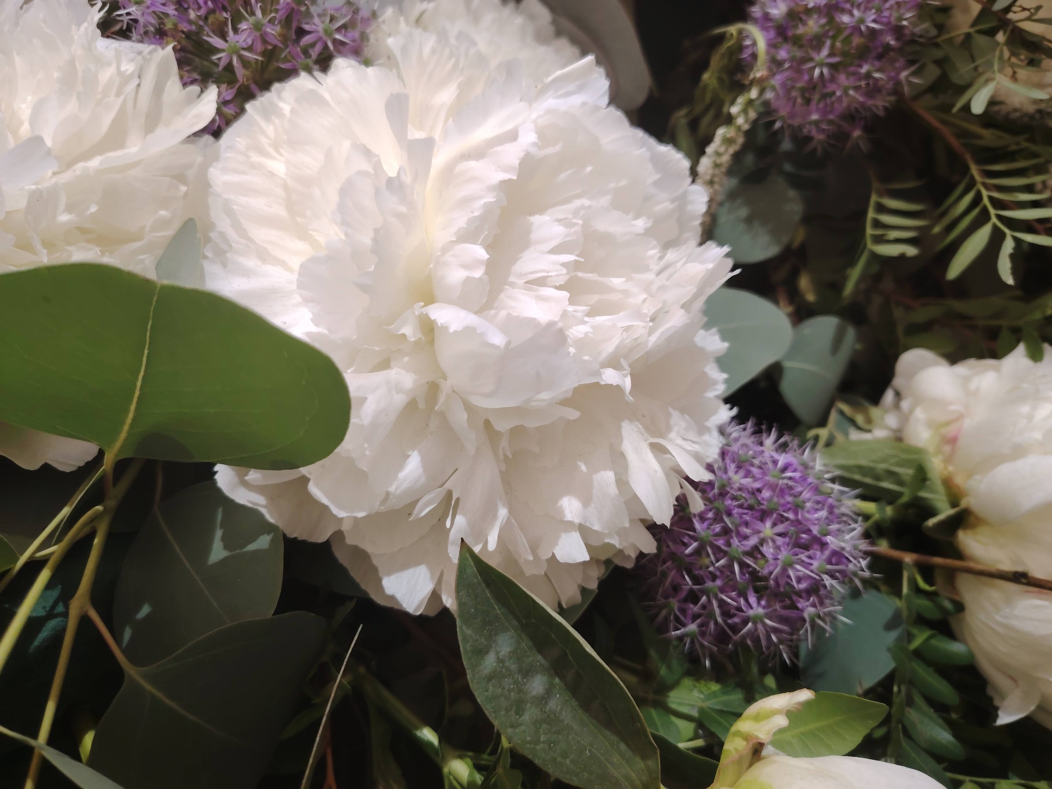 temps de flor 1
