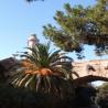 images/Blog/Turia_Park/1572076870491.jpeg