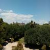 images/Blog/Turia_Park/IMG-20170630-WA0018.jpeg