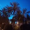 images/Blog/Turia_Park/IMG_20190610_215909.jpeg