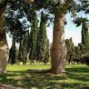 images/Blog/Turia_Park/IMG_20190921_143717.jpeg