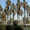 images/Hasznos/Valencia_Strandjai/IMG20231125084742.jpeg
