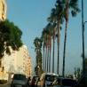 images/Spanyolorszagrol/Cullera/Cullera_fenykepek_(7).jpeg
