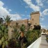 images/Spanyolorszagrol/Elche/Elche_(2).jpeg
