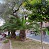 images/Spanyolorszagrol/Paterna/IMG20240716104346.jpeg