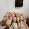 images/Spanyolorszagrol/Paterna/IMG20240716115020.jpeg