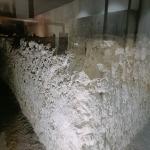 images/varosok/Valencia/Valencia_Selyem_útján_séta/IMG20241116123443.jpeg