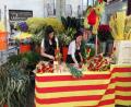 images/Blog/Barcelona_ünnepei/04_Sant_Jordi.jpg