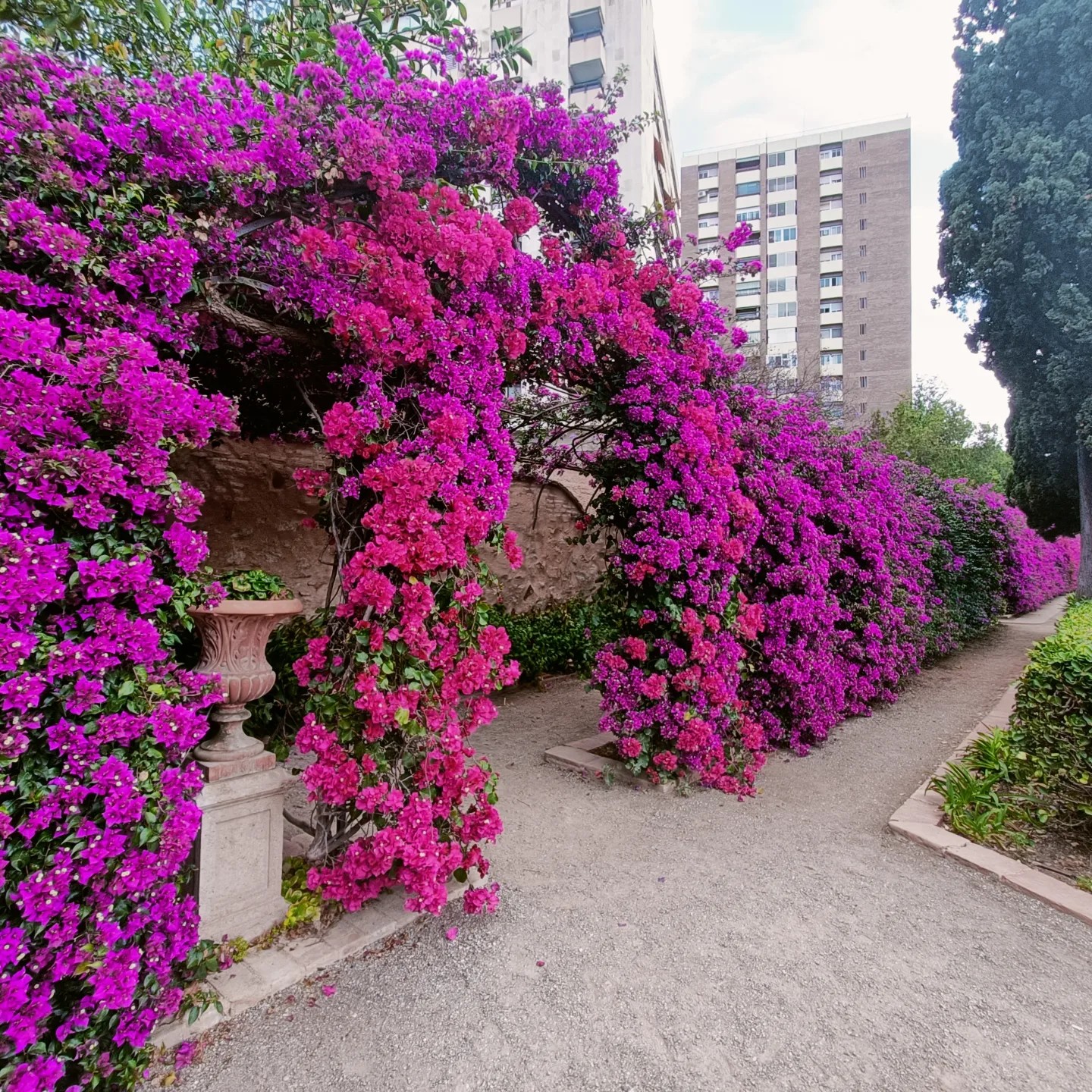 7. Jardines del Monforte
