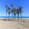 images/Spanyolorszagrol/Villajoyosa/Villajoyosa_2025_6.jpg