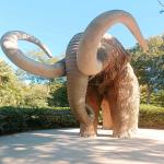 images/varosok/Barcelona/Barcelona-ahogy-en-szeretnem/Mamut.jpg